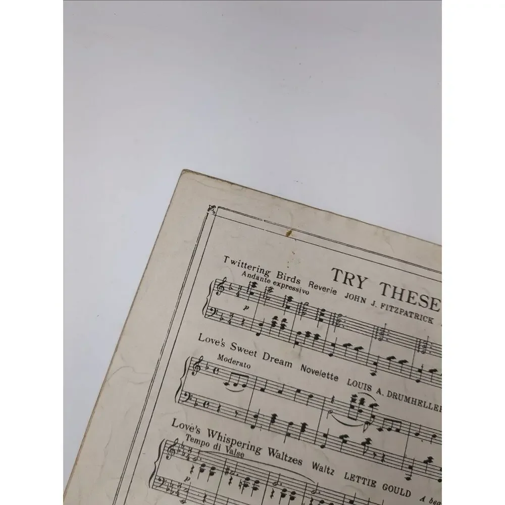 1915 Sheet Music Ill Mend The Heart I Have Broken‎ Because I Love You Dear